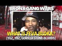 WHAT IS FEVA BLOKK? (YGZ, YBZ, GORILLA STONE BLOODS)
