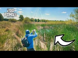 Hooking BIG BASS In A Tiny PUDDLE?! ("200 Ponds" Ft. @sobifishing )