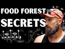 The Food Forest Masterclass That *Shouldn’t Be Free