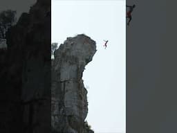 He SHOULDN'T have JUMPED!  😱