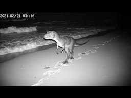 30 Most Convincing Dinosaur Encounters Ever Caught on Camera