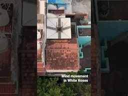 #wind movement in #whiteroses #architecture #home #sustainableliving #heat #pondicherry #tamilnadu