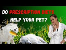 Are Prescription Diets Helping or Harming Your Pet? - Holistic Vet Advice