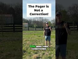 Paging Your Dog is Life or Death! #dogtrainer #dogtraining
