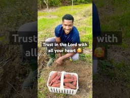 We’re NOT lucky, we are BLESSED✨ #gardening #homestead  #godisgood
