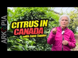 🍊Citrus In Canada - Jane Squier Greenhouse - Salt Spring Island, BC