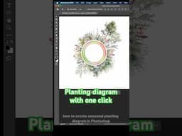 Planting diagram with one click in Photoshop. #landscapearchitecture #landscapedesign #planting
