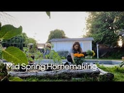 Mid Spring Homemaking | Life Update, Gardening, and Blueberry Pancakes