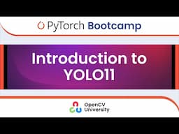 Pytorch Bootcamp for Beginners - 10 | YOLO11
