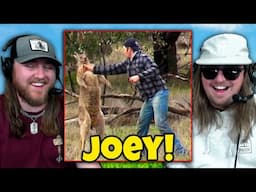 Crazy Animal Memes Gone Wild….