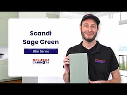 Scandi Sage Green Door Sample from Wholesale Cabinets' Elite Series