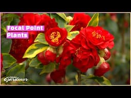 Garden Treasures Nursery | Volunteer Gardener