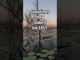 The EASIEST way to catch a bass! #bassfishing #fishing #fishingvideo