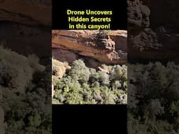 Drone Makes Unbelievable Discovery! 😱 #shorts