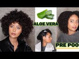 Aloe Vera Gel Prepoo For Extreme Hair Growth | Type 4, Low Porosity & Protein Sensitive Natural Hair