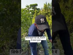 सिर्फ़ 20 रुपये में ऐसा पौधा जो कभी नहीं मुरझाता! | A plant that never withers – just for ₹20!