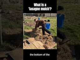 What is a 'lasagne mulch'? #forestgarden #mulching #fruittrees