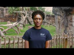 Animal Spotlight: Charlie the Chimp