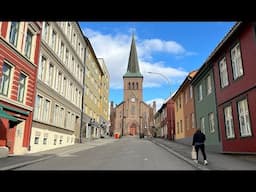 My quiet little city life in Oslo, Norway / Beetroot hummus