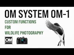 OM System OM-1: Custom Functions for Wildlife Photography