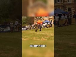 Dog Training Is About You. Not The Dog