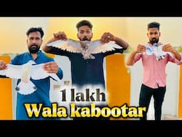 Aaj kabutaron ke larai karwa kar 3 kabutaro ko utar liya or 1 lakh wala kabootar paker liya 😳😳