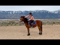 Starting My Colt Under Saddle! | Pt. 1