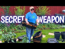 The secret to my bell pepper successes! QUADGROWS