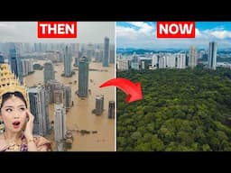 Why They Made A Forest Inside A Mega City, That's Changing Everything We Know About Urban Flooding!