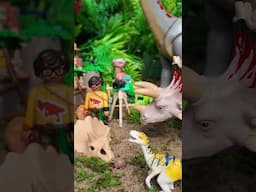 AD Playmobil Dinosaur 2025 Assortment | Playmobil Spinosaurus, Playmobil Brachiosaurus |  #Playmobil