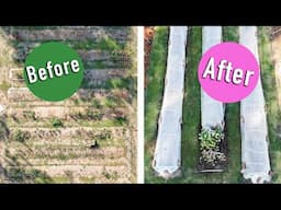 Scenic Before & After Australian micro farm. Garden in Autumn Fall.