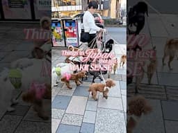 You'll only see THIS in JAPAN  🇯🇵 🙉