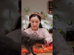 夏天摘下晶莹剔透的樱桃，熬一锅酸甜果酱，连小猫都被果香吸引了。#shorts #滇西小哥 #cooking #cherry #summer