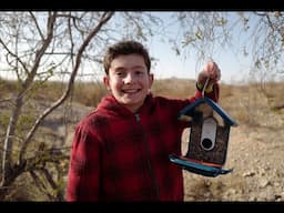 A bird’s eye view | The Human Component | BBC StoryWorks