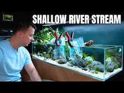 ADDING FISH TO THE 120CM SHALLOW RIVER AQUASCAPE!