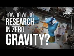 How Do We Do Research in Zero Gravity? We Asked a NASA Expert
