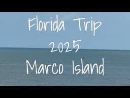 Our Trip to Marco Island Florida 2025 … Alligators, Turtles, Owls, Lizards, Dolphins, & Shells