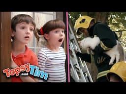 Topsy & Tim - Kitten Rescue! |  Full Episode Compilation | Shows for Kids | HD