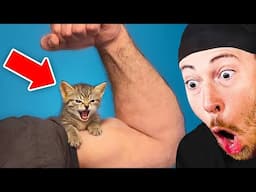 Try Not To Say *AWW* Challenge (Animals Edition)