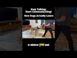 Stop talking & start communicating! How dogs actually learn