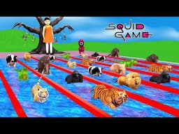 Animals Plays Squid Game Red Light Save Cow vs Gorilla vs Tiger vs Elephant vs Animals Swimming Pool