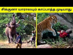 விலங்குகளிடம் சிக்கிய மனிதர்கள் | Animals Chasing Humans | Animal Encounters | TAMIL AMAZING FACTS