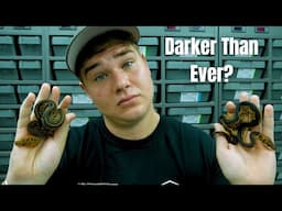Darker And Darker Clowns