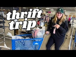 Turning $100 into $1000 by Thrifting at Goodwill