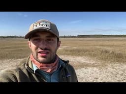 Stewardship Visit: Beck Island