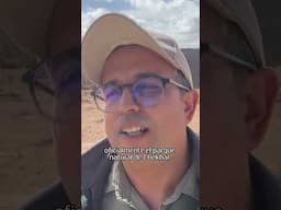 Marruecos revive el desierto con gacelas y muflones