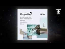 DJ Zombi & Guy Maayan – Sparkling in the Shadow (Maze 28 & Kebin van Reeken Remix) [Mango Alley]
