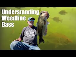 Understanding Weedline Bass
