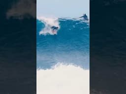 This Wave Didn’t Hold Back 💨