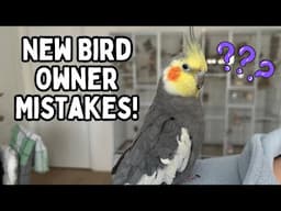 New Bird Owner Mistakes - Avoid These Common New Parrot Owner Problems | TheParrotTeacher